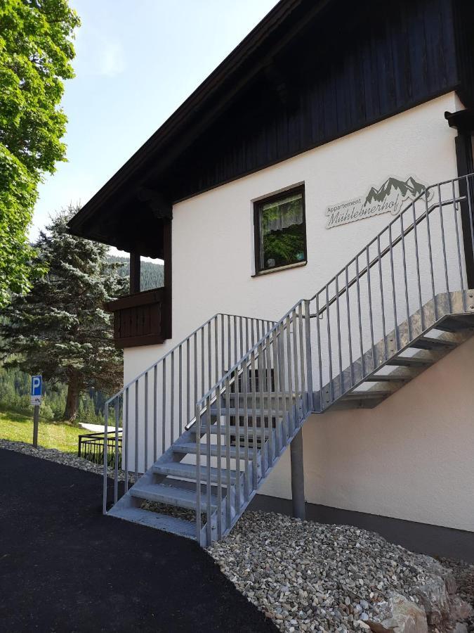Appartement Muehlebnerhof 拉姆绍达赫斯坦 外观 照片